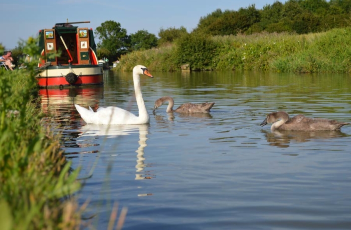 narrowboating stoke prior