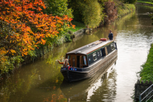 Autumn Saver