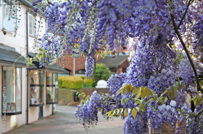 Banbury