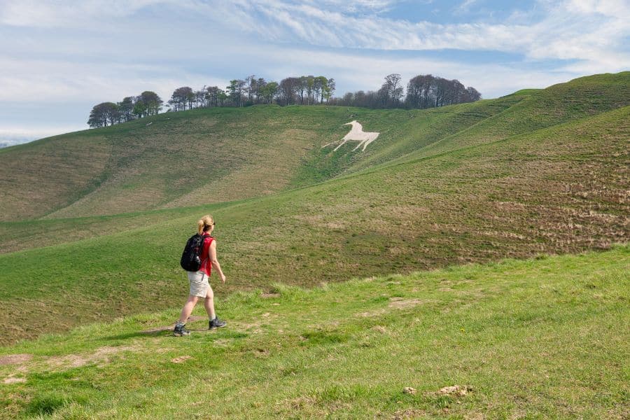 White Horse wiltshire