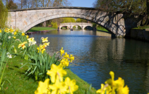 Last minute spring breaks